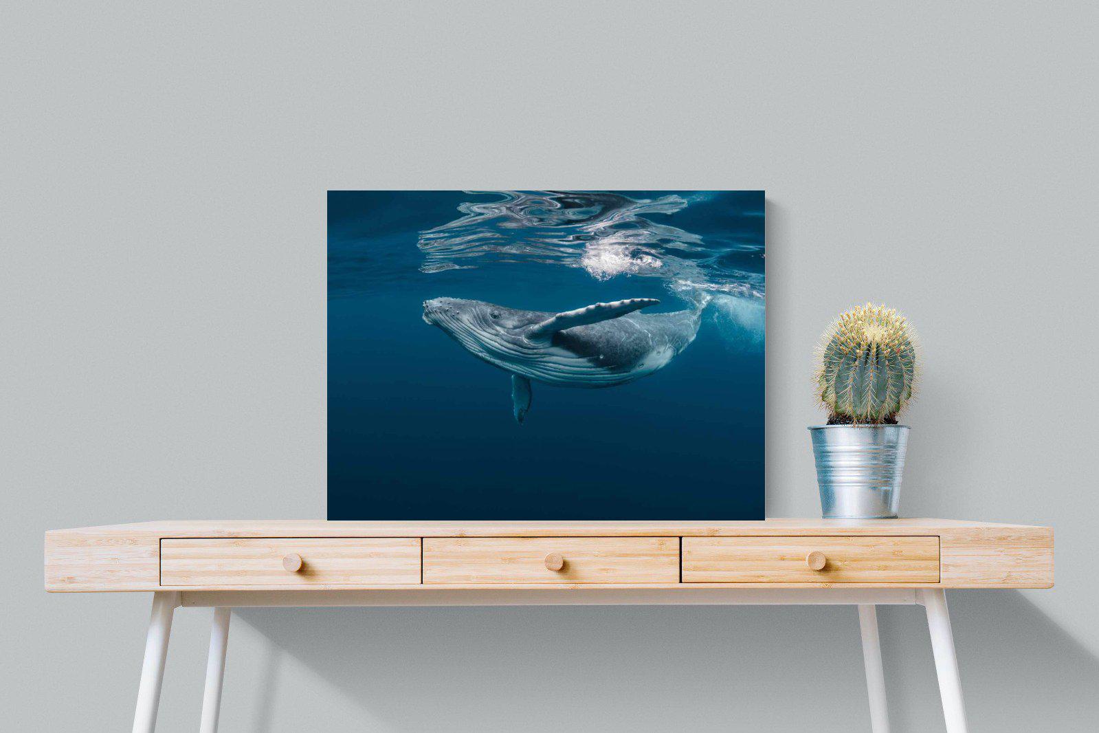 Whale-Wall_Art-80 x 60cm-Mounted Canvas-No Frame-Pixalot