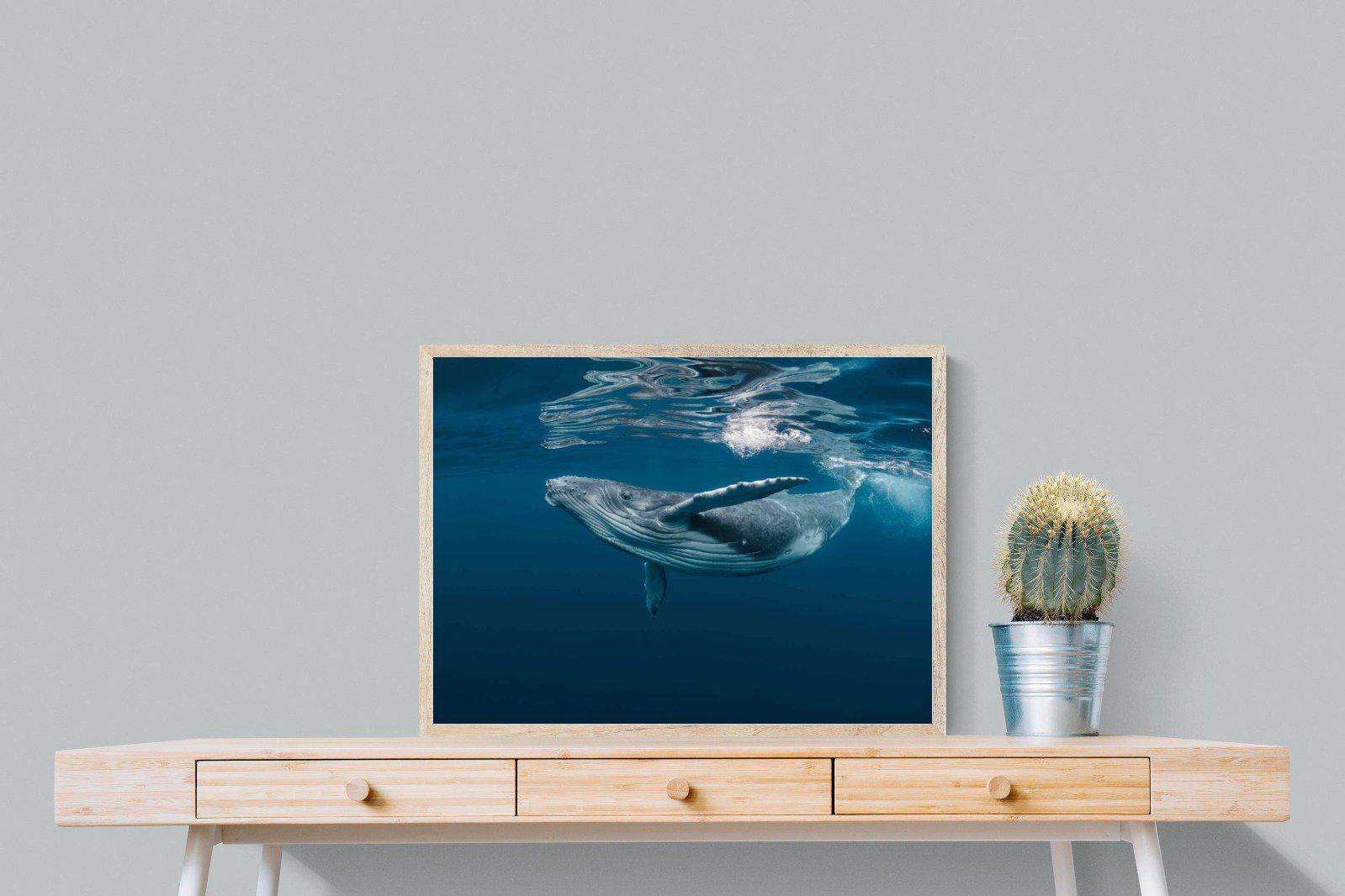 Whale-Wall_Art-80 x 60cm-Mounted Canvas-Wood-Pixalot