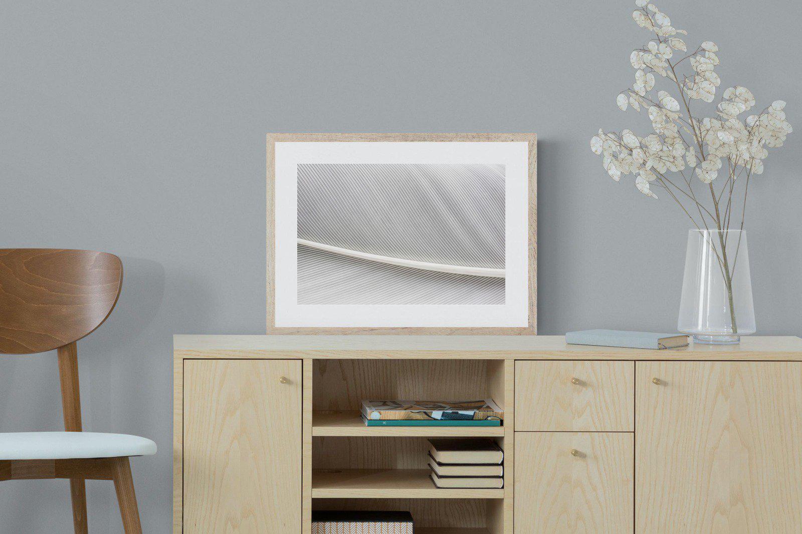 White Feather-Wall_Art-60 x 45cm-Framed Print-Wood-Pixalot