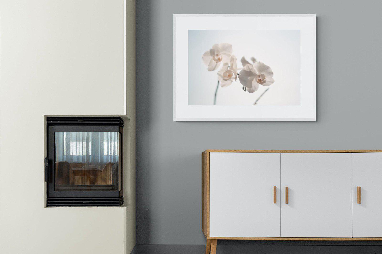 White Moth Orchid-Wall_Art-100 x 75cm-Framed Print-White-Pixalot