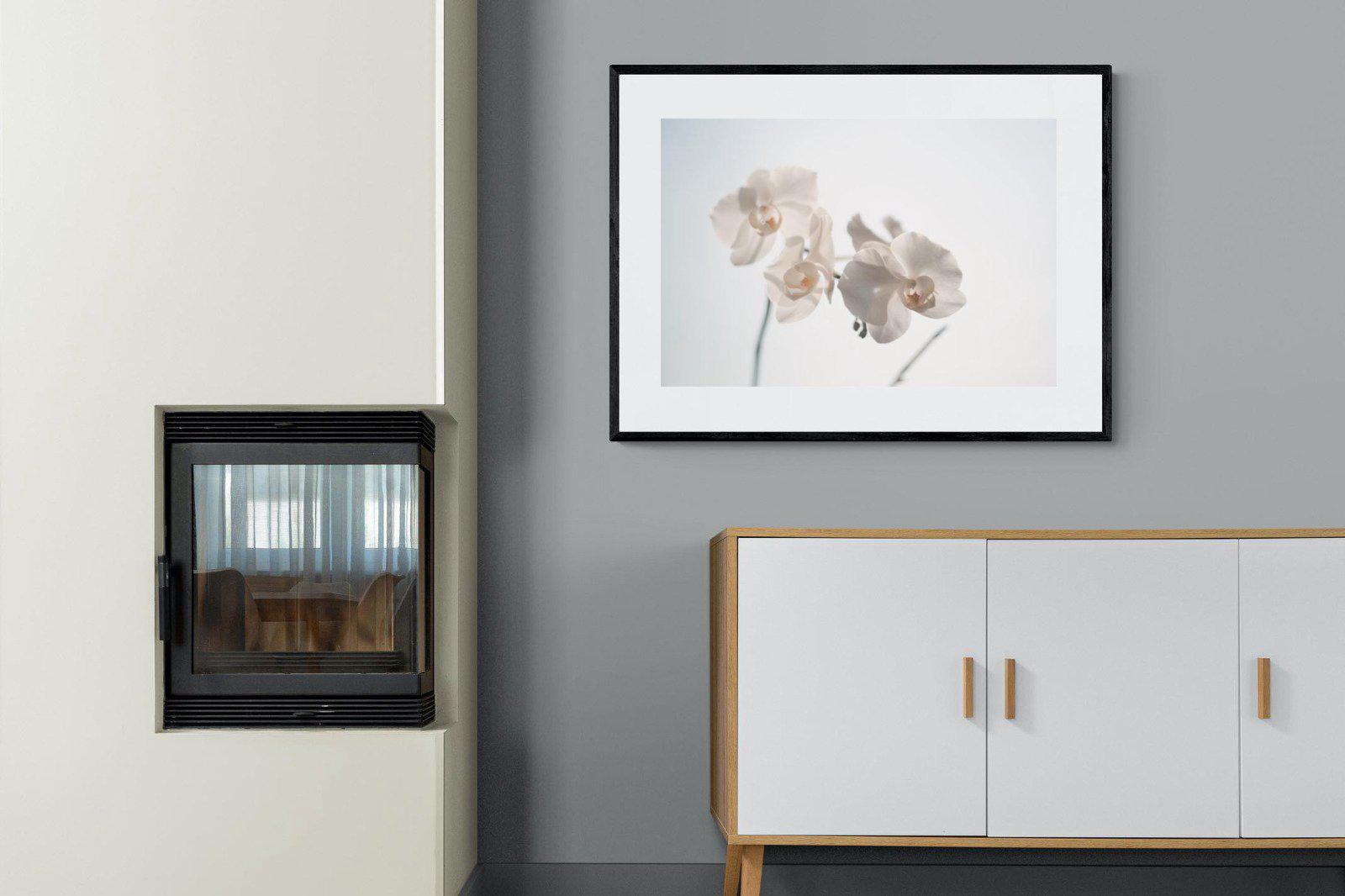 White Moth Orchid-Wall_Art-100 x 75cm-Framed Print-Black-Pixalot