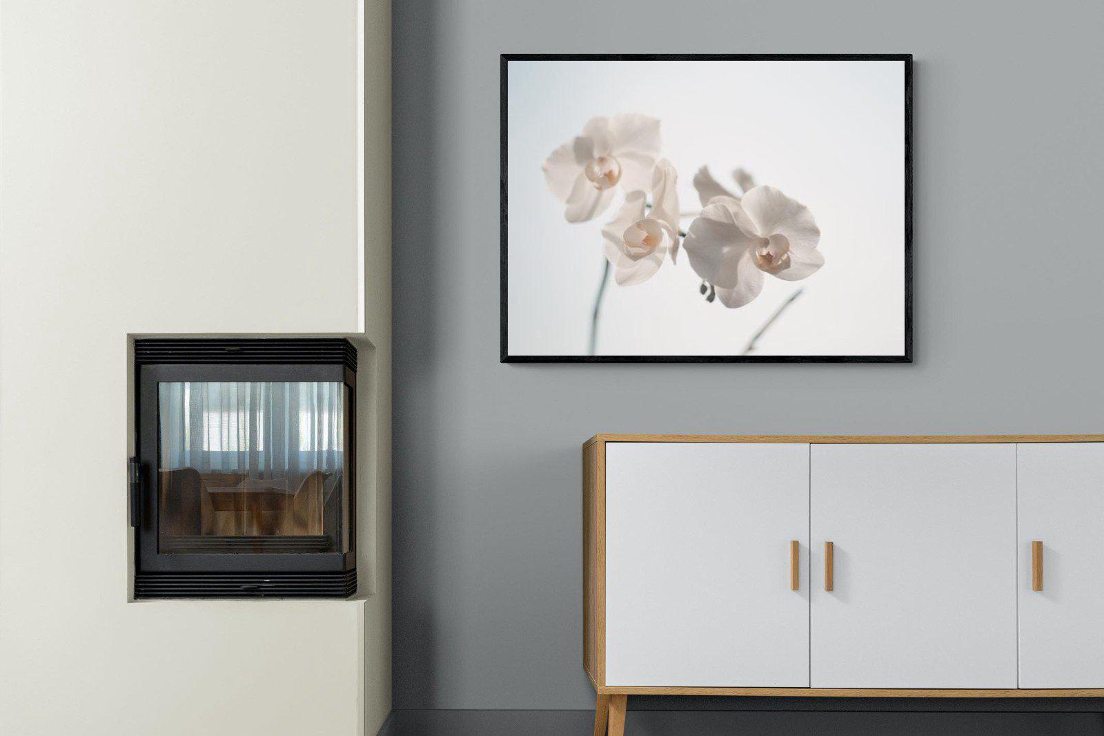 White Moth Orchid-Wall_Art-100 x 75cm-Mounted Canvas-Black-Pixalot