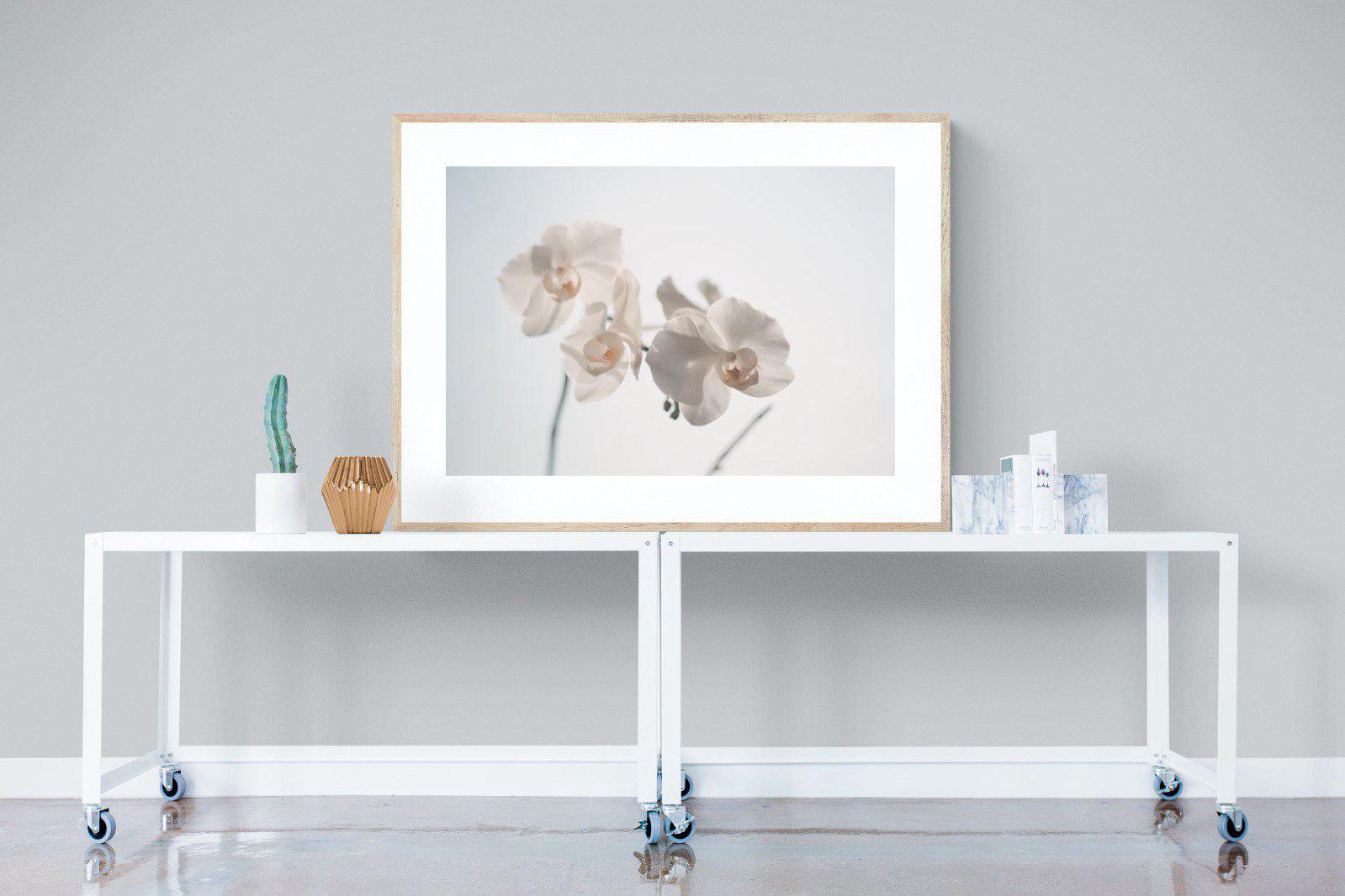 White Moth Orchid-Wall_Art-120 x 90cm-Framed Print-Wood-Pixalot