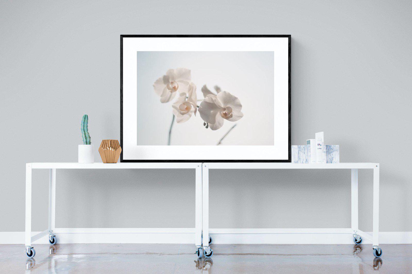 White Moth Orchid-Wall_Art-120 x 90cm-Framed Print-Black-Pixalot