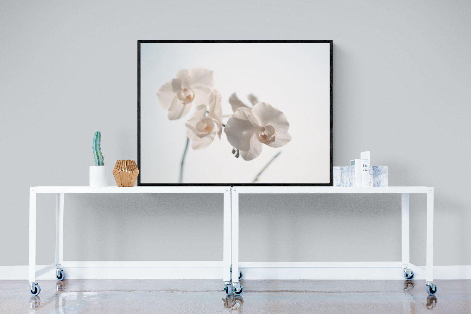 White Moth Orchid-Wall_Art-120 x 90cm-Mounted Canvas-Black-Pixalot