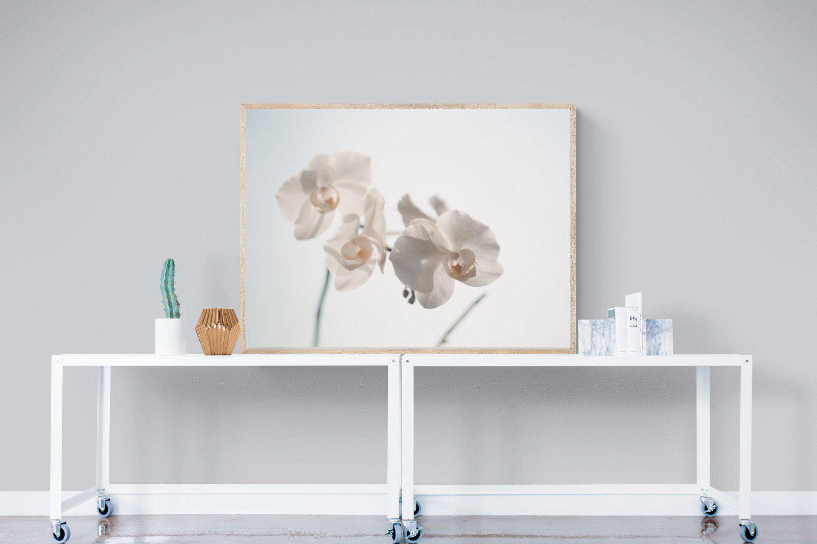 White Moth Orchid-Wall_Art-120 x 90cm-Mounted Canvas-Wood-Pixalot