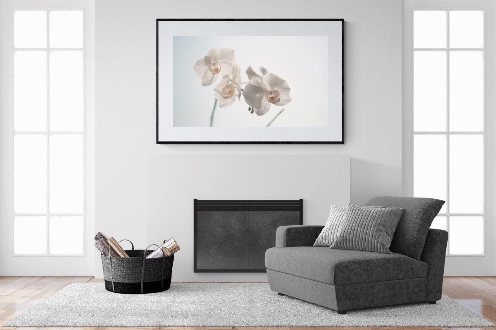 White Moth Orchid-Wall_Art-150 x 100cm-Framed Print-Black-Pixalot