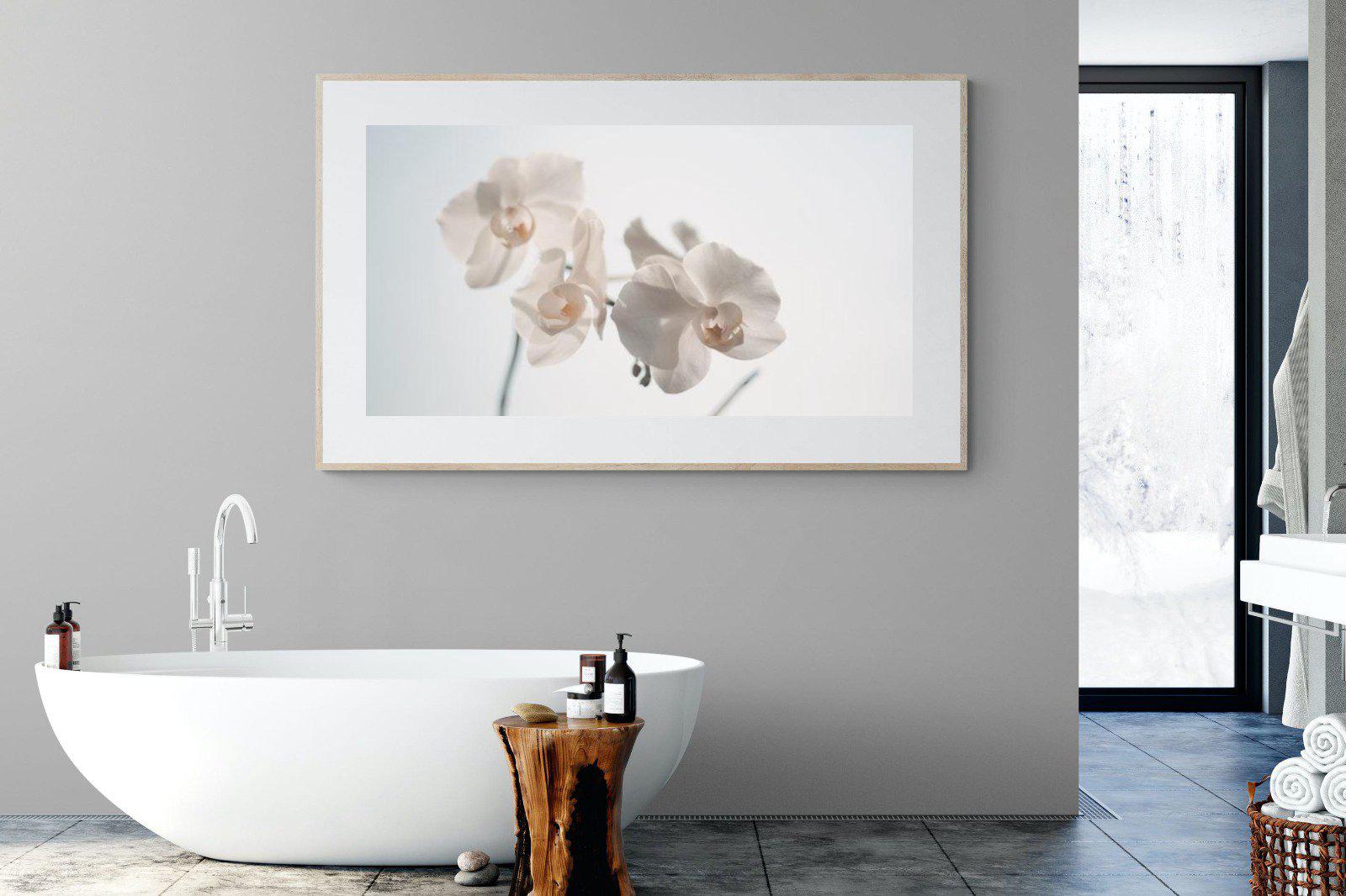 White Moth Orchid-Wall_Art-180 x 110cm-Framed Print-Wood-Pixalot