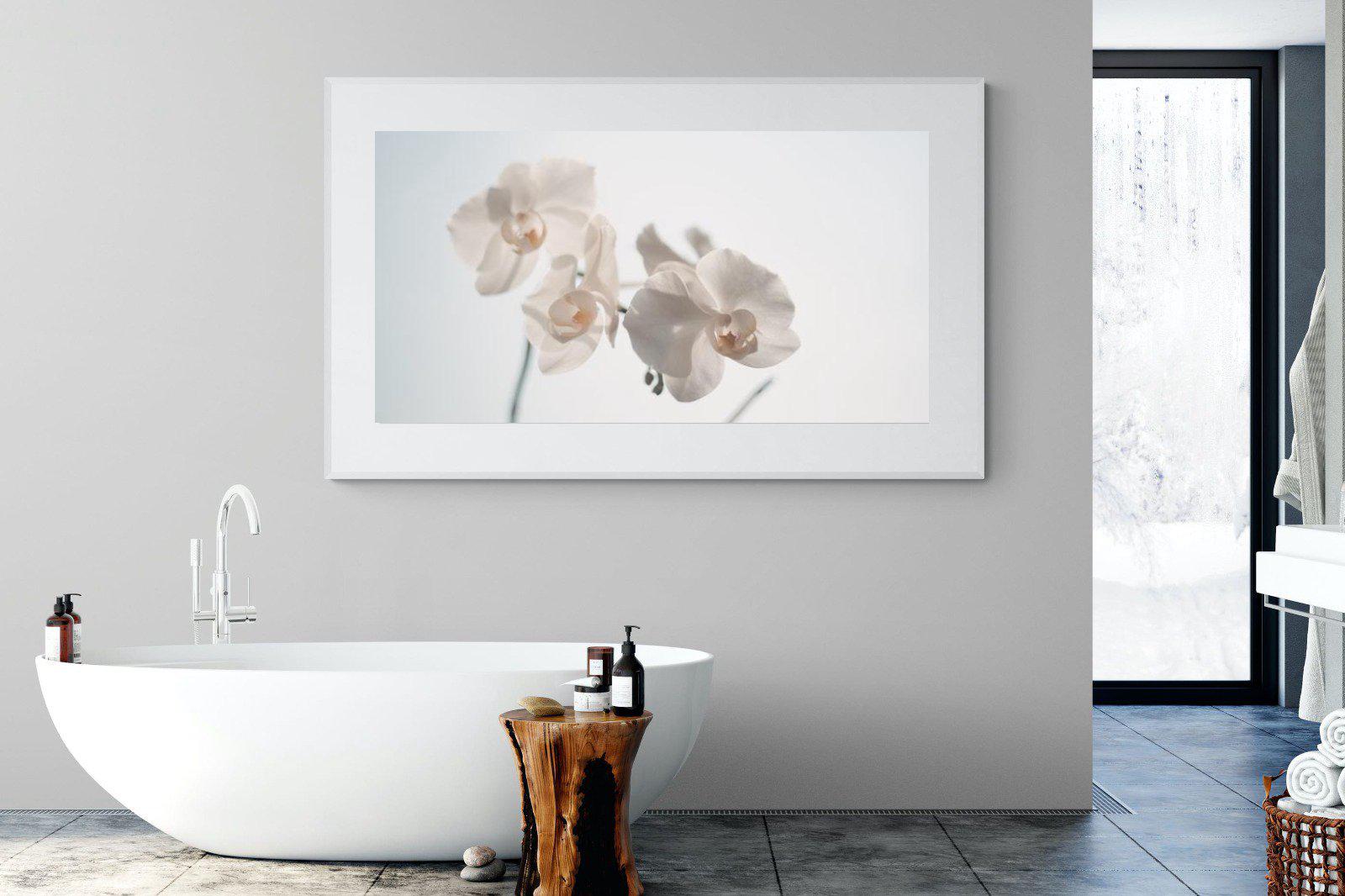 White Moth Orchid-Wall_Art-180 x 110cm-Framed Print-White-Pixalot