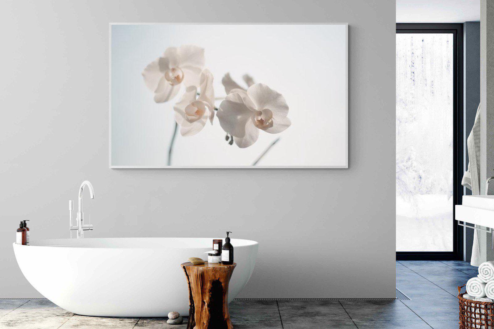 White Moth Orchid-Wall_Art-180 x 110cm-Mounted Canvas-White-Pixalot