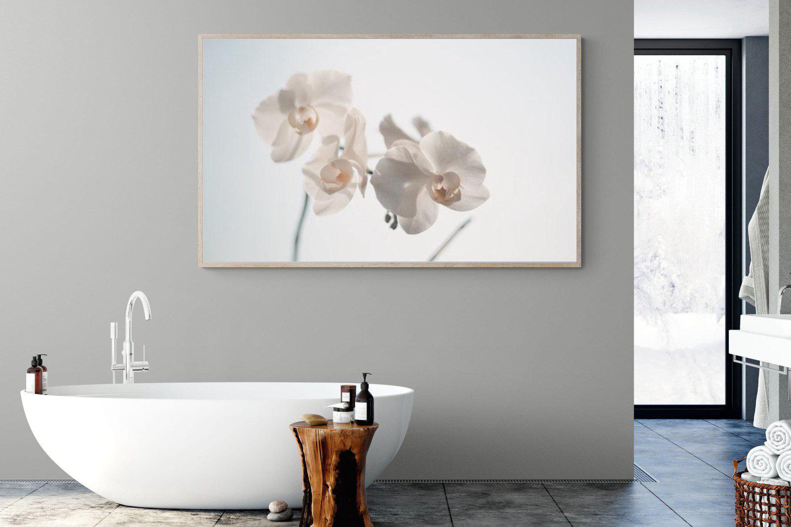 White Moth Orchid-Wall_Art-180 x 110cm-Mounted Canvas-Wood-Pixalot