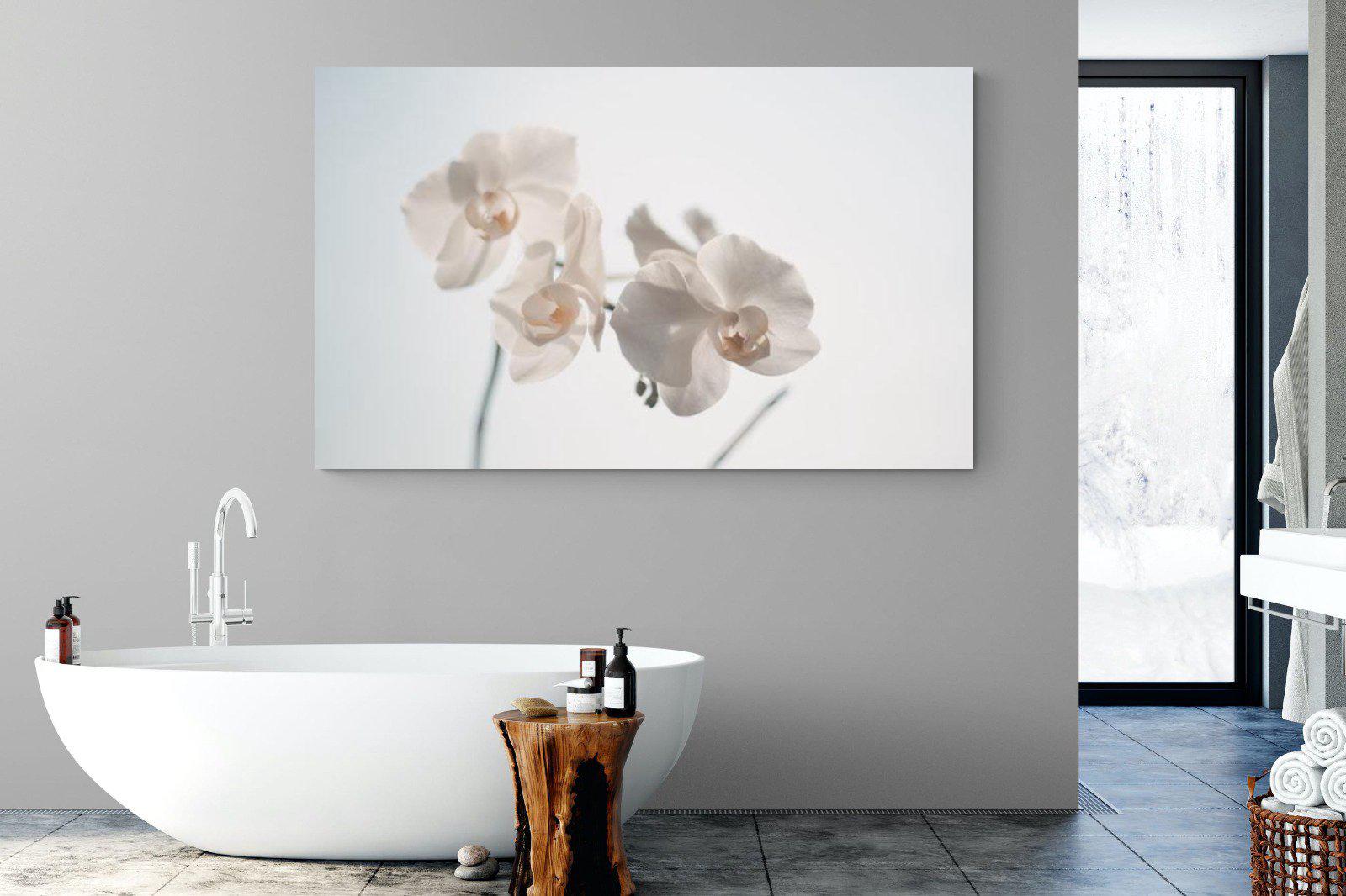 White Moth Orchid-Wall_Art-180 x 110cm-Mounted Canvas-No Frame-Pixalot