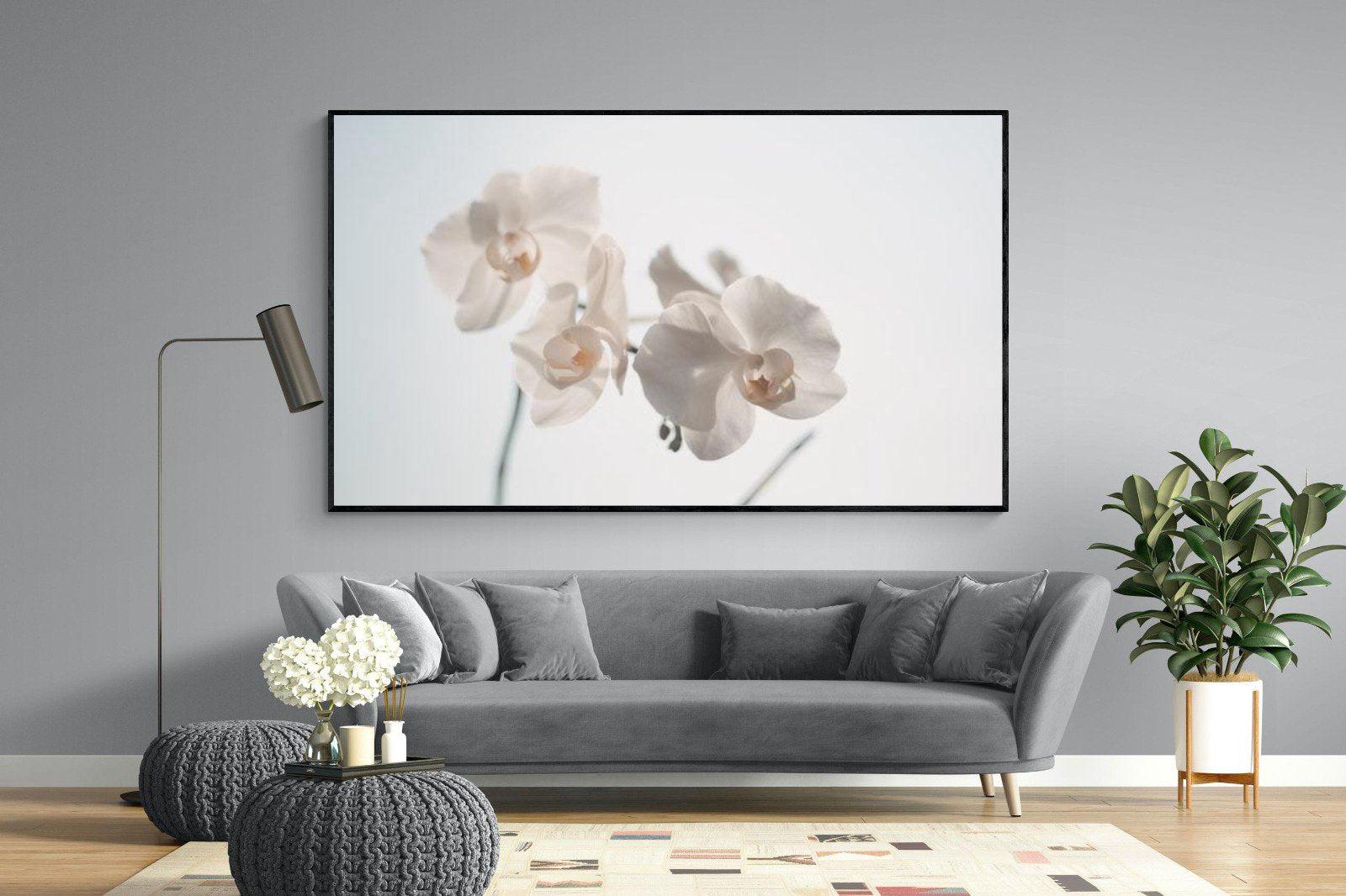 White Moth Orchid-Wall_Art-220 x 130cm-Mounted Canvas-Black-Pixalot