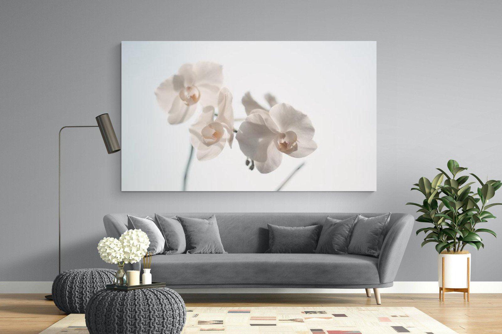 White Moth Orchid-Wall_Art-220 x 130cm-Mounted Canvas-No Frame-Pixalot