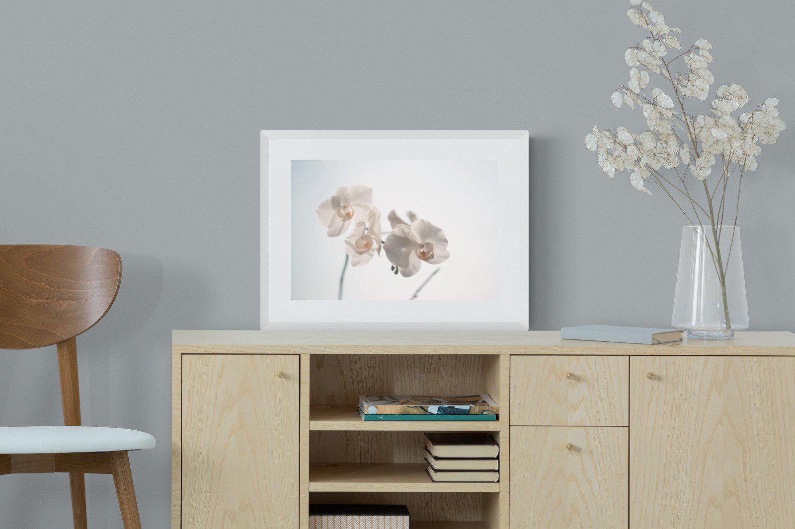 White Moth Orchid-Wall_Art-60 x 45cm-Framed Print-White-Pixalot