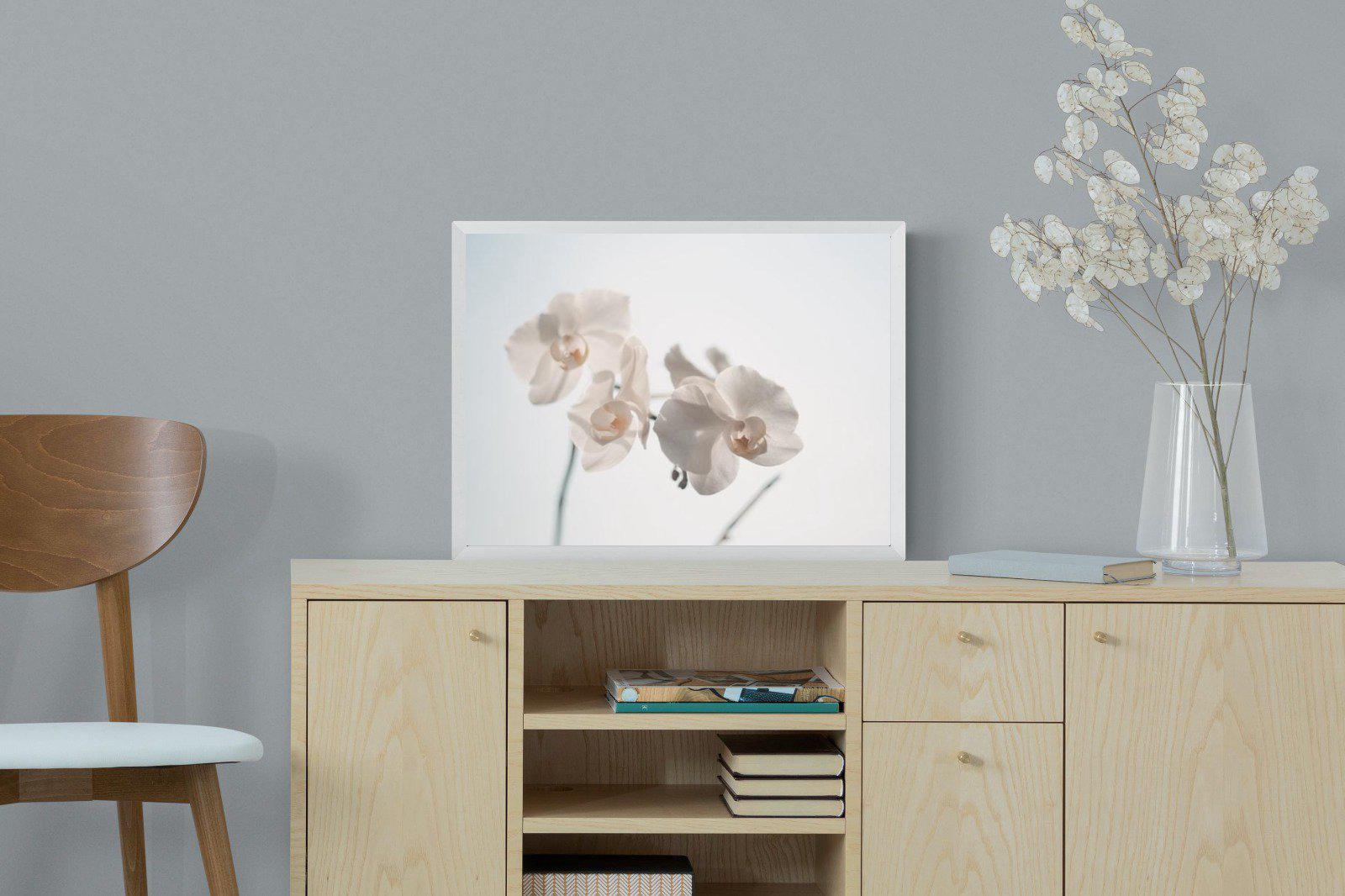 White Moth Orchid-Wall_Art-60 x 45cm-Mounted Canvas-White-Pixalot