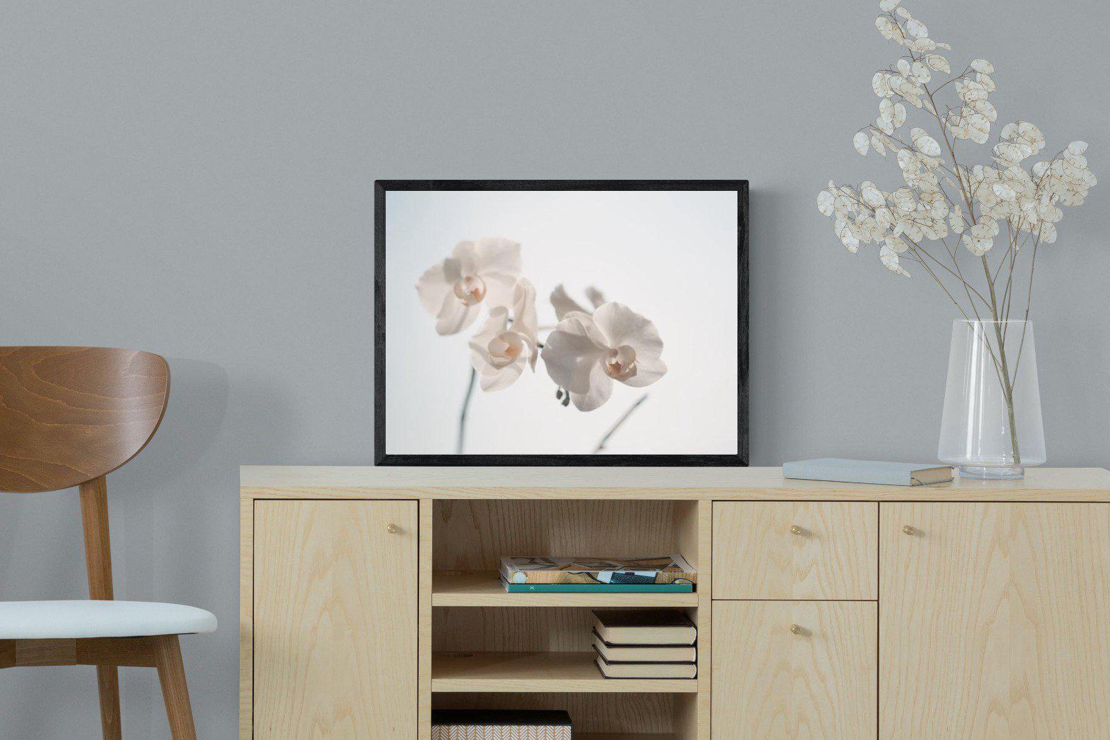 White Moth Orchid-Wall_Art-60 x 45cm-Mounted Canvas-Black-Pixalot