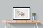 White Moth Orchid-Wall_Art-80 x 60cm-Framed Print-Black-Pixalot