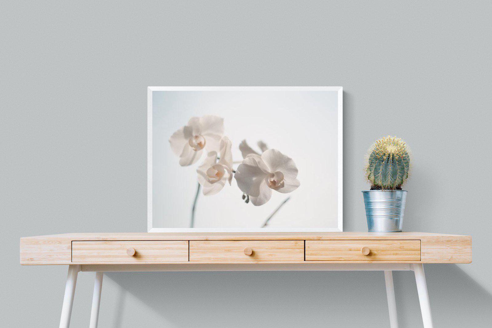 White Moth Orchid-Wall_Art-80 x 60cm-Mounted Canvas-White-Pixalot