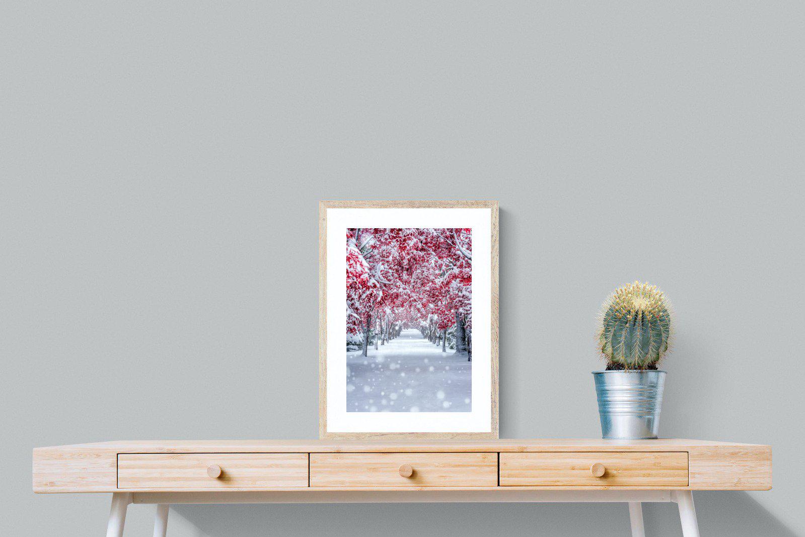 White On Red-Wall_Art-45 x 60cm-Framed Print-Wood-Pixalot