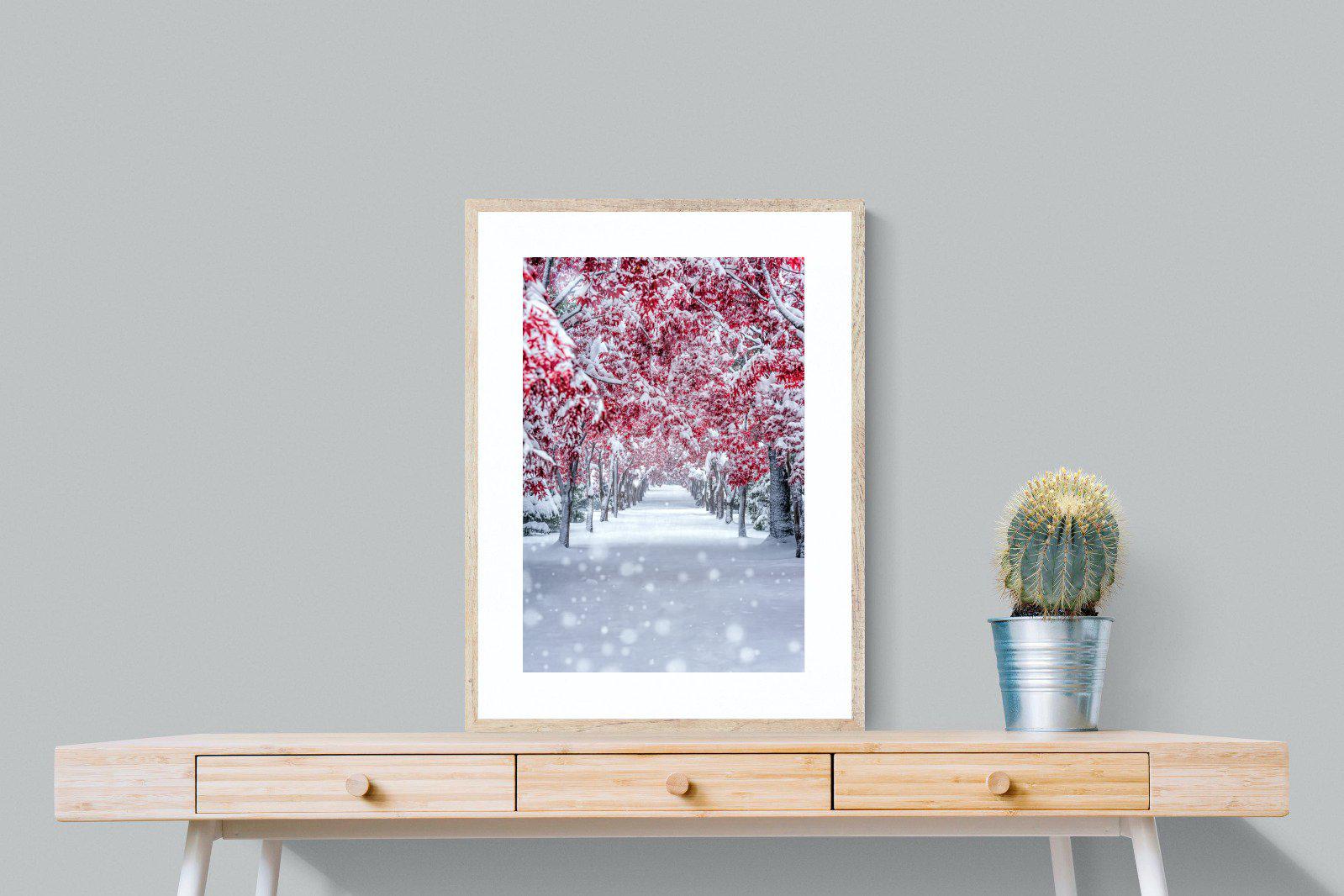 White On Red-Wall_Art-60 x 80cm-Framed Print-Wood-Pixalot