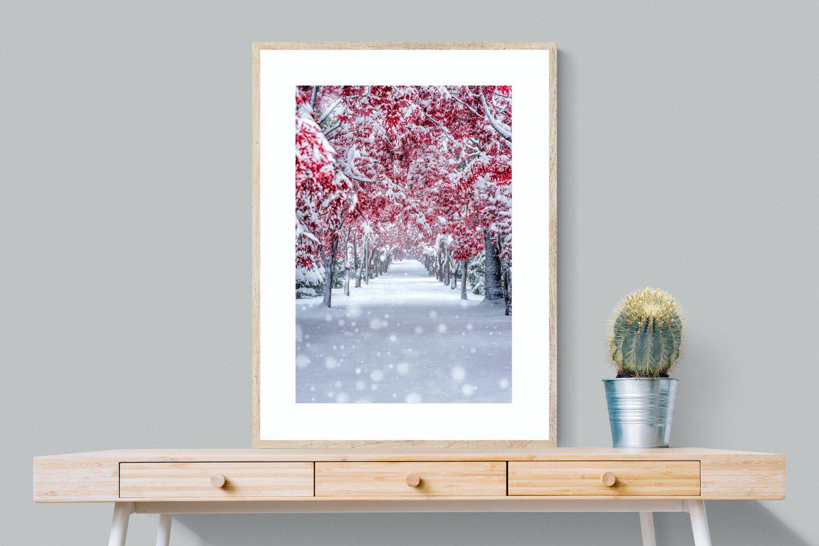 White On Red-Wall_Art-75 x 100cm-Framed Print-Wood-Pixalot