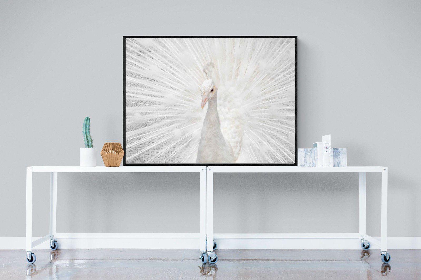 White Peacock-Wall_Art-120 x 90cm-Mounted Canvas-Black-Pixalot