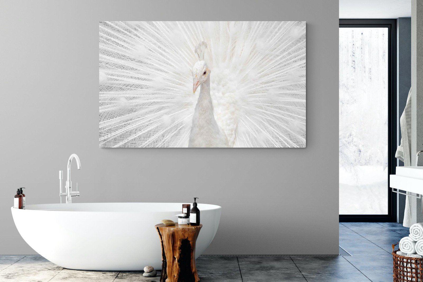 White Peacock-Wall_Art-180 x 110cm-Mounted Canvas-No Frame-Pixalot