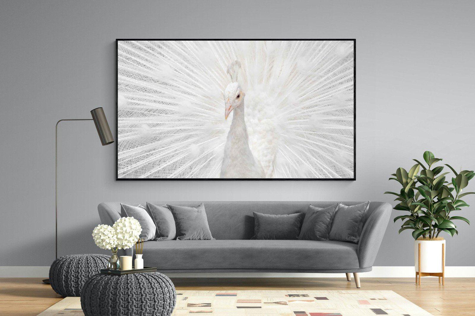 White Peacock-Wall_Art-220 x 130cm-Mounted Canvas-Black-Pixalot
