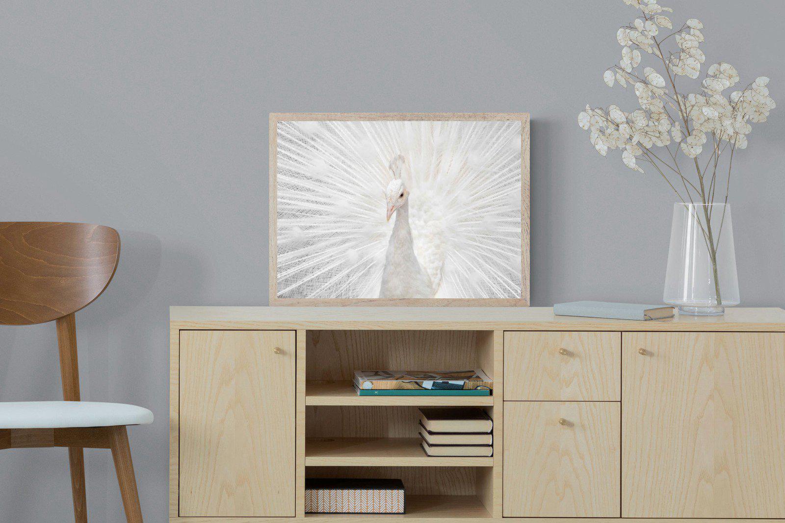 White Peacock-Wall_Art-60 x 45cm-Mounted Canvas-Wood-Pixalot