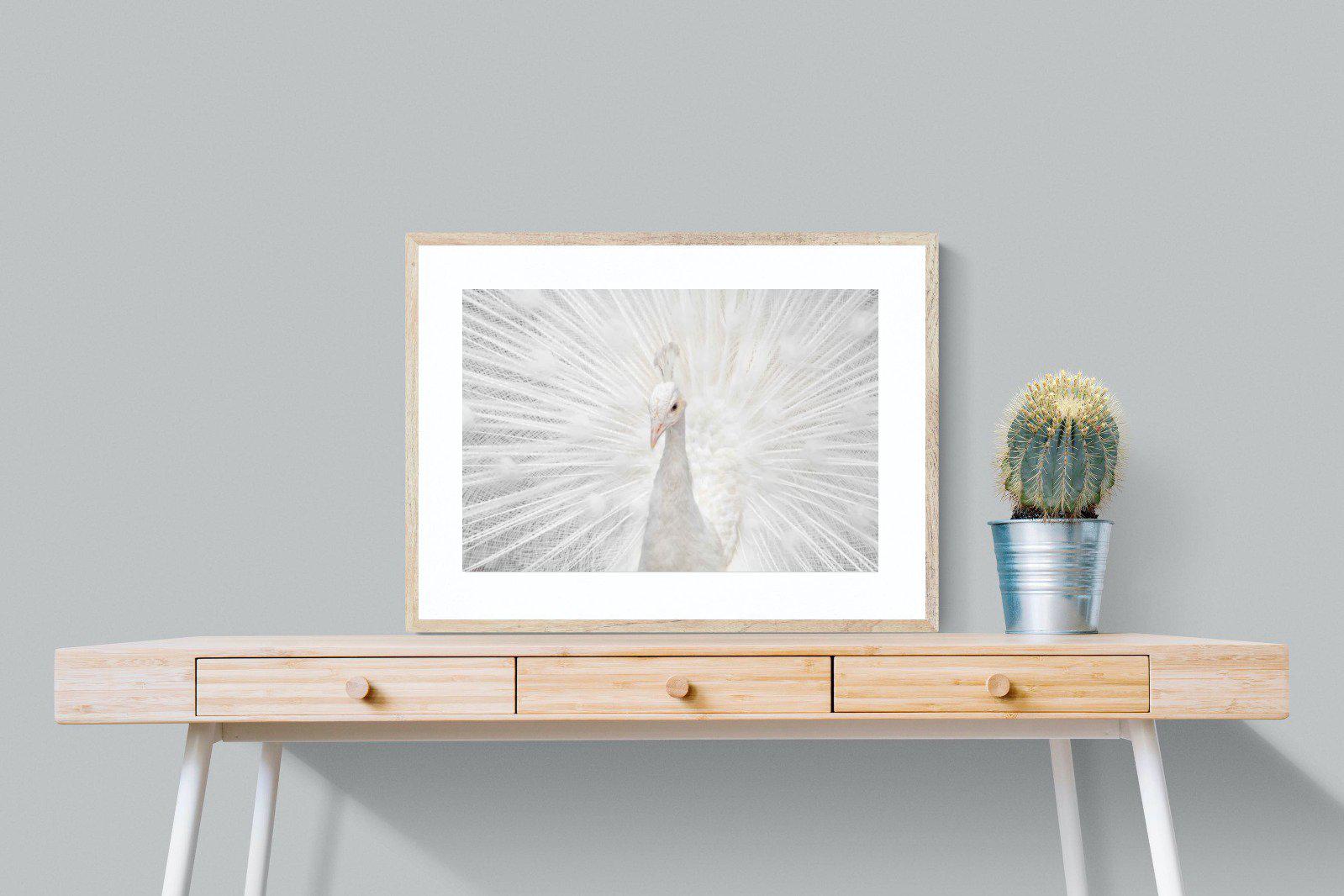 White Peacock-Wall_Art-80 x 60cm-Framed Print-Wood-Pixalot