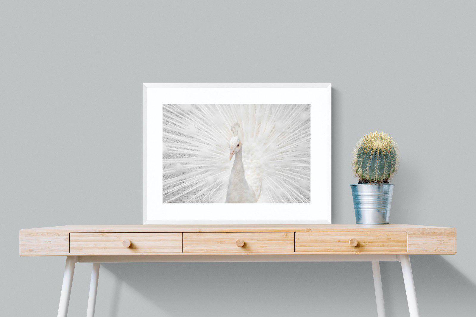 White Peacock-Wall_Art-80 x 60cm-Framed Print-White-Pixalot