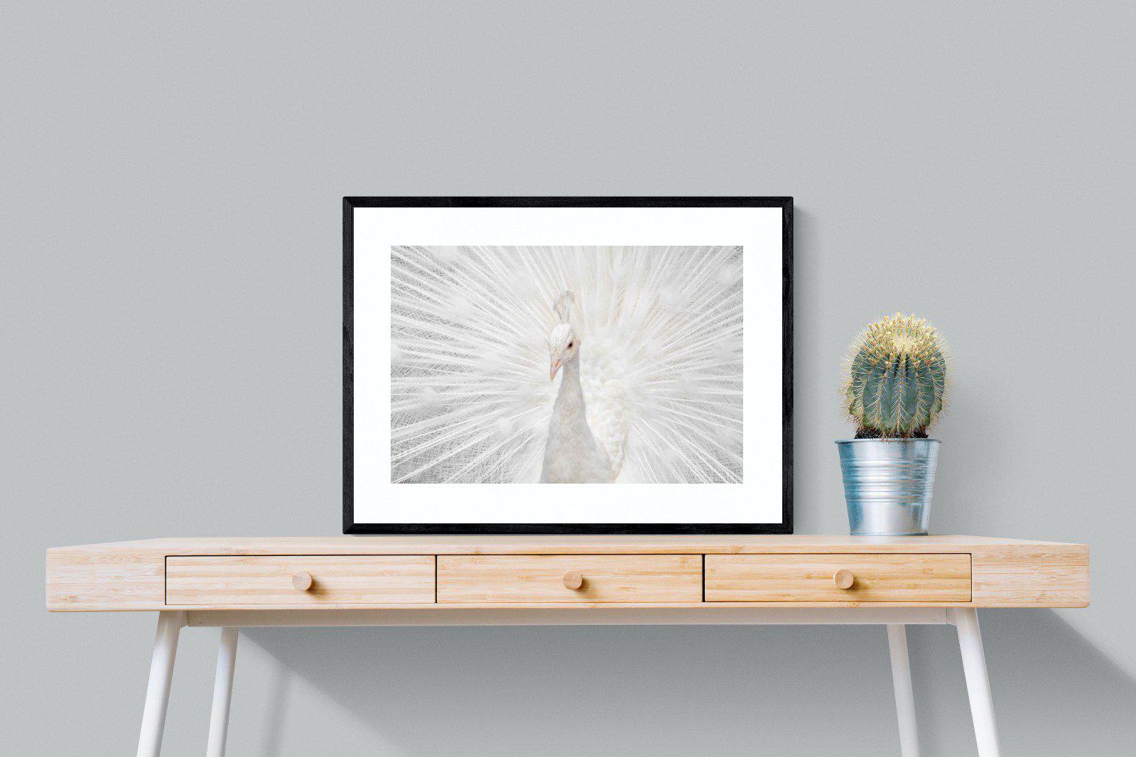 White Peacock-Wall_Art-80 x 60cm-Framed Print-Black-Pixalot