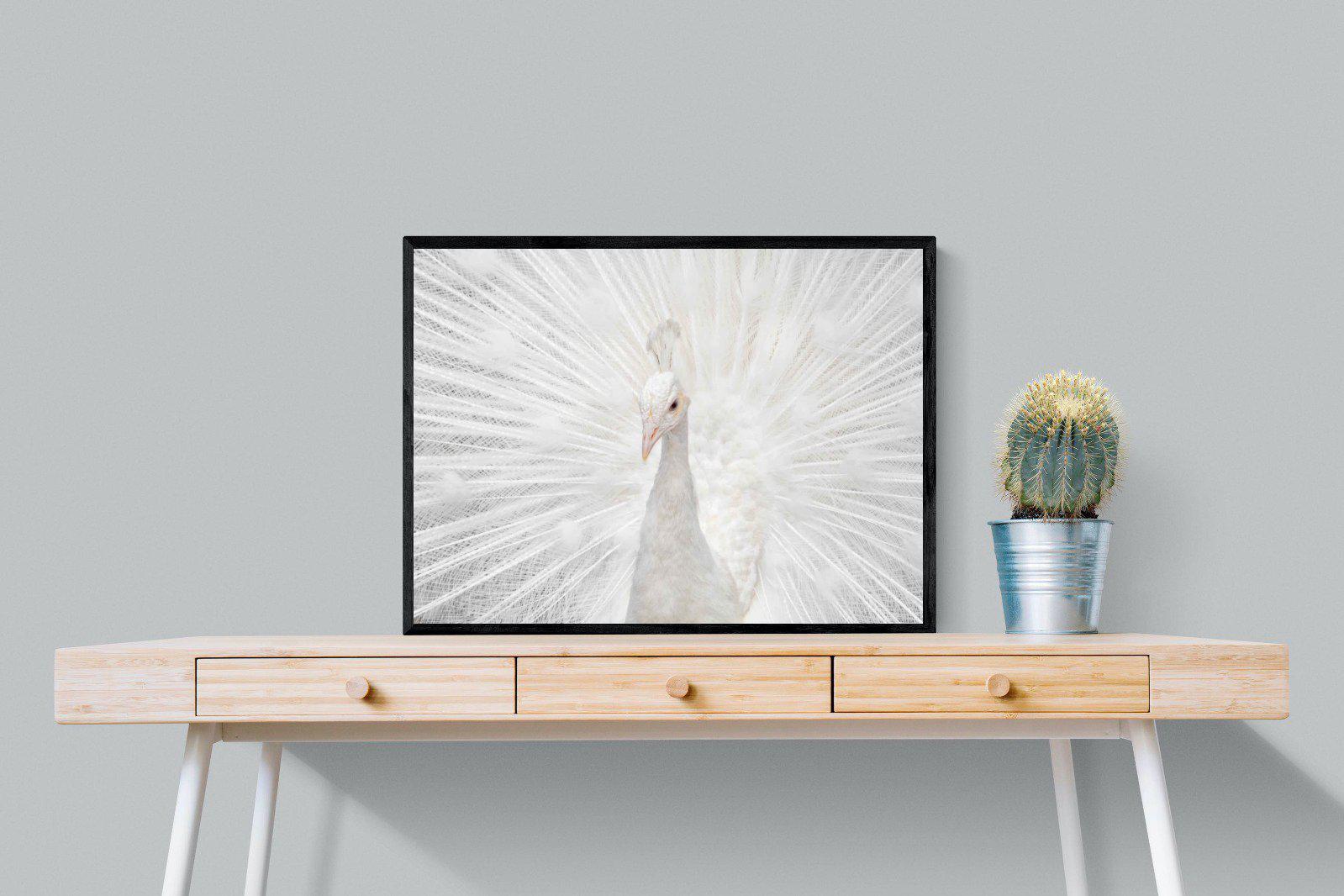 White Peacock-Wall_Art-80 x 60cm-Mounted Canvas-Black-Pixalot