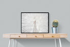 White Peacock-Wall_Art-80 x 60cm-Mounted Canvas-Black-Pixalot