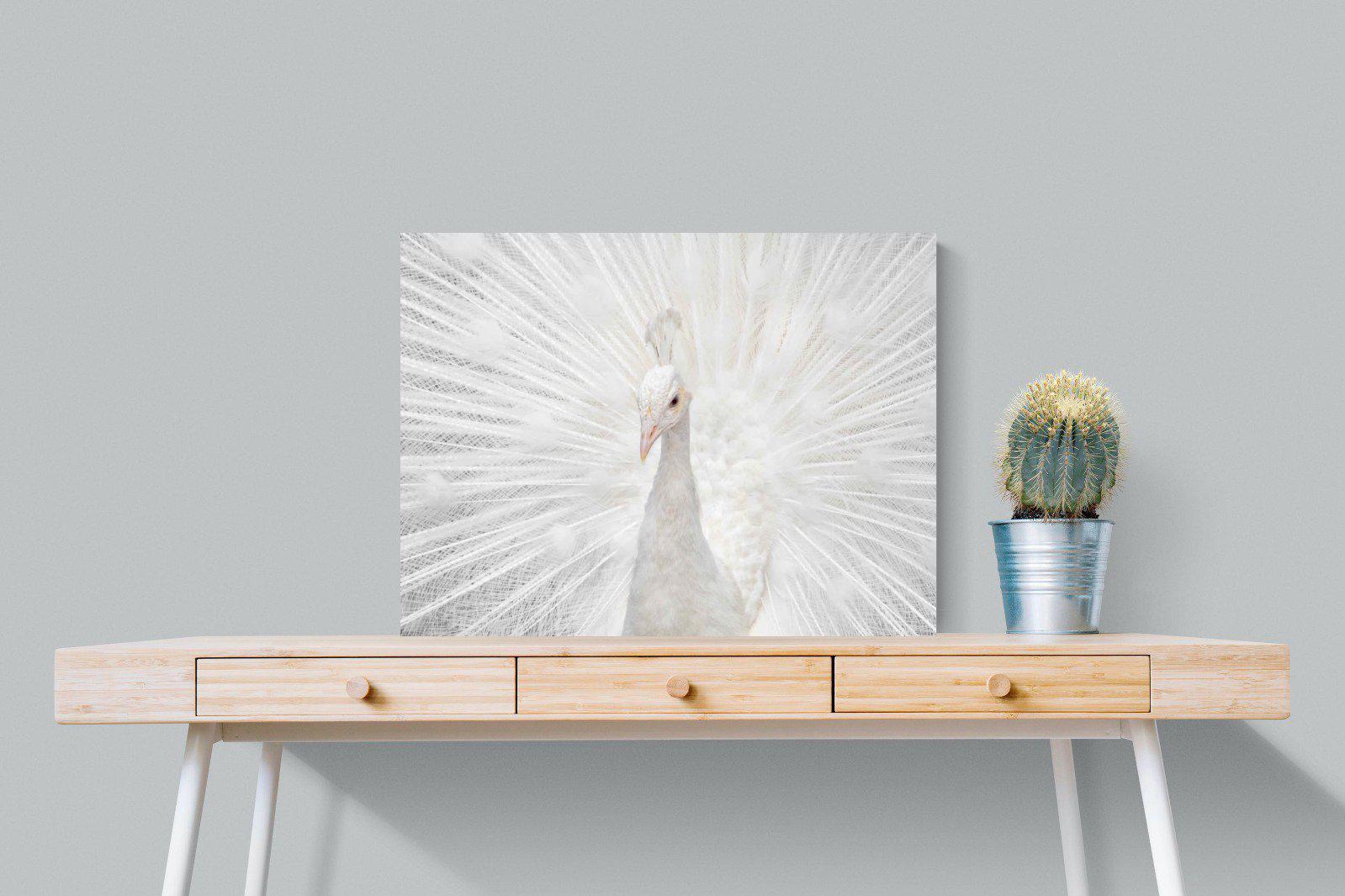 White Peacock-Wall_Art-80 x 60cm-Mounted Canvas-No Frame-Pixalot