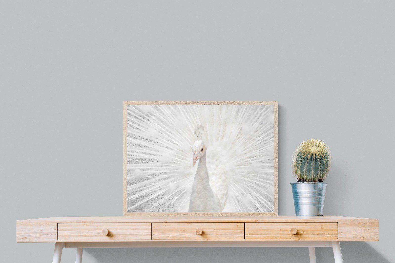 White Peacock-Wall_Art-80 x 60cm-Mounted Canvas-Wood-Pixalot