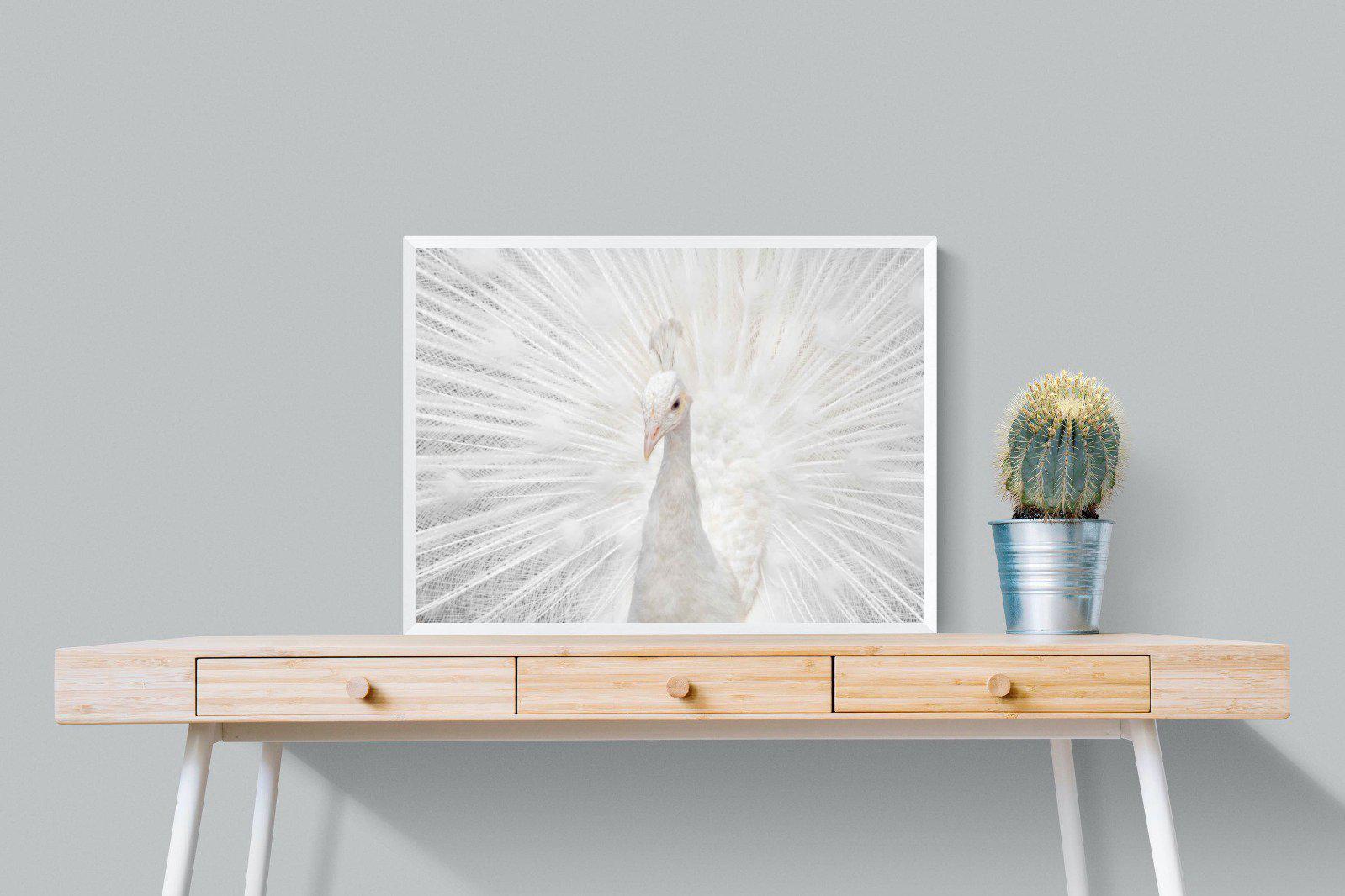 White Peacock-Wall_Art-80 x 60cm-Mounted Canvas-White-Pixalot