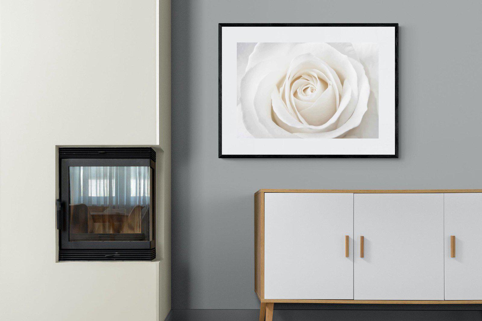 White Rose-Wall_Art-100 x 75cm-Framed Print-Black-Pixalot