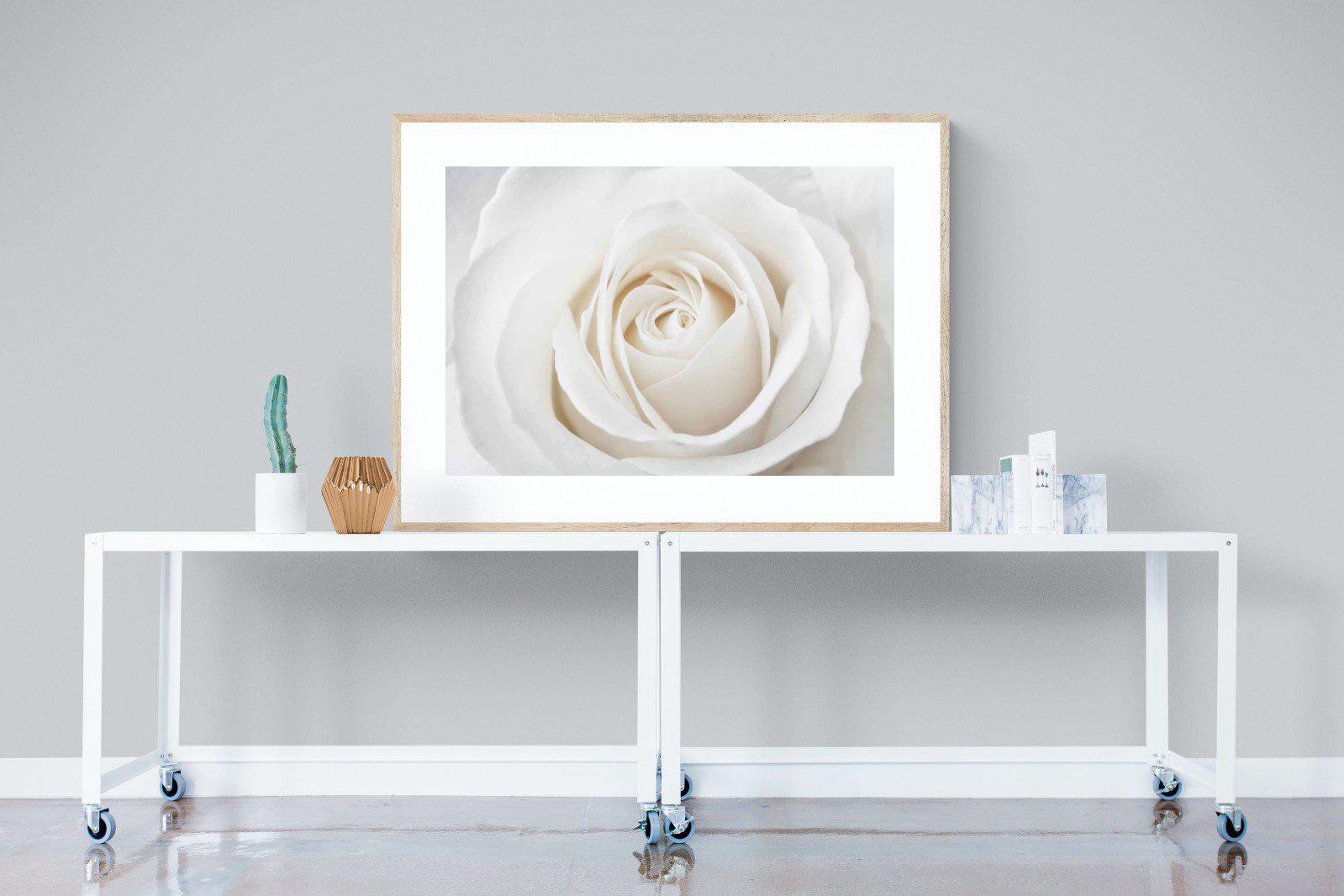 White Rose-Wall_Art-120 x 90cm-Framed Print-Wood-Pixalot