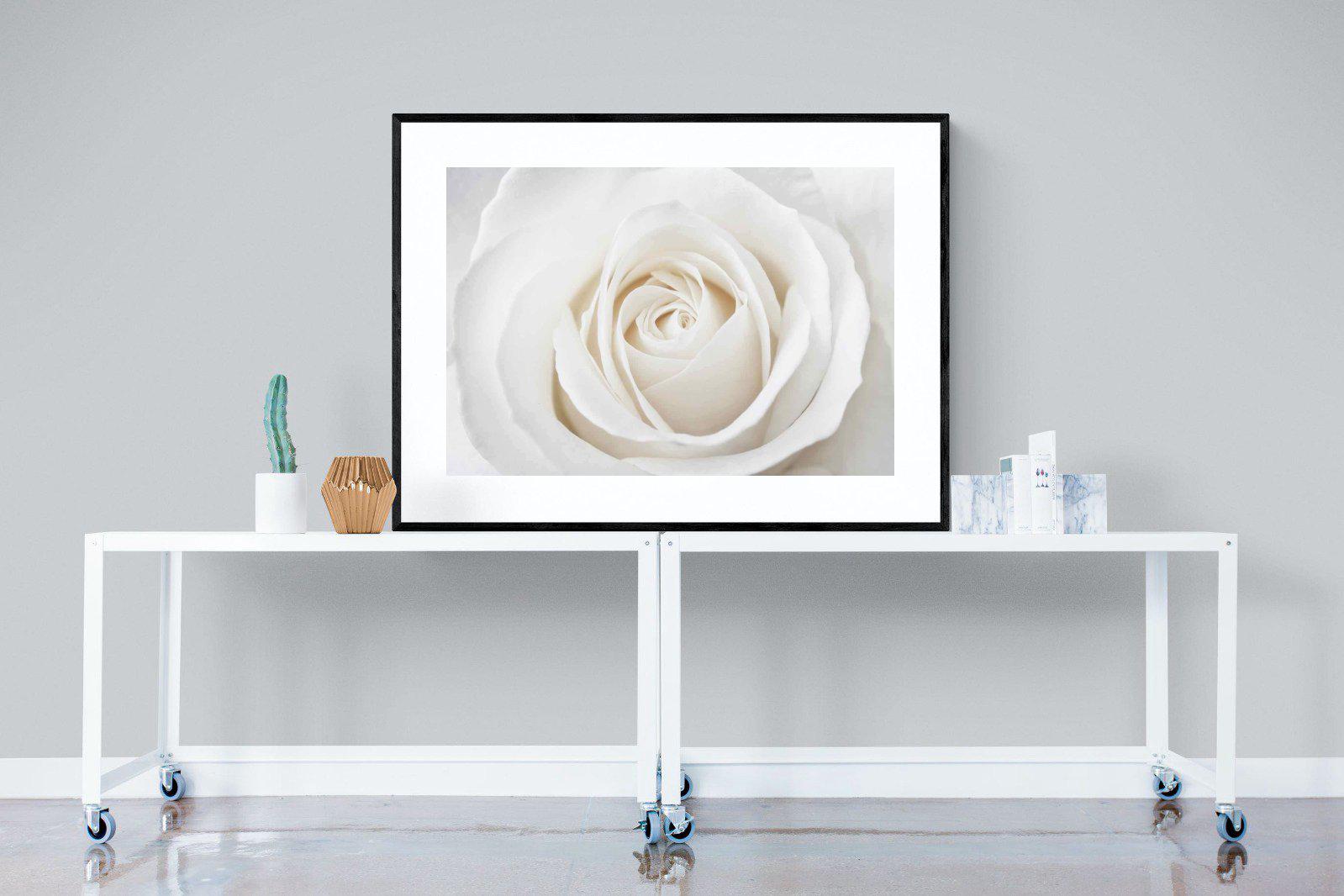 White Rose-Wall_Art-120 x 90cm-Framed Print-Black-Pixalot