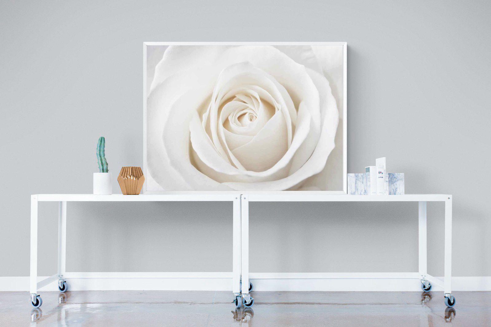 White Rose-Wall_Art-120 x 90cm-Mounted Canvas-White-Pixalot
