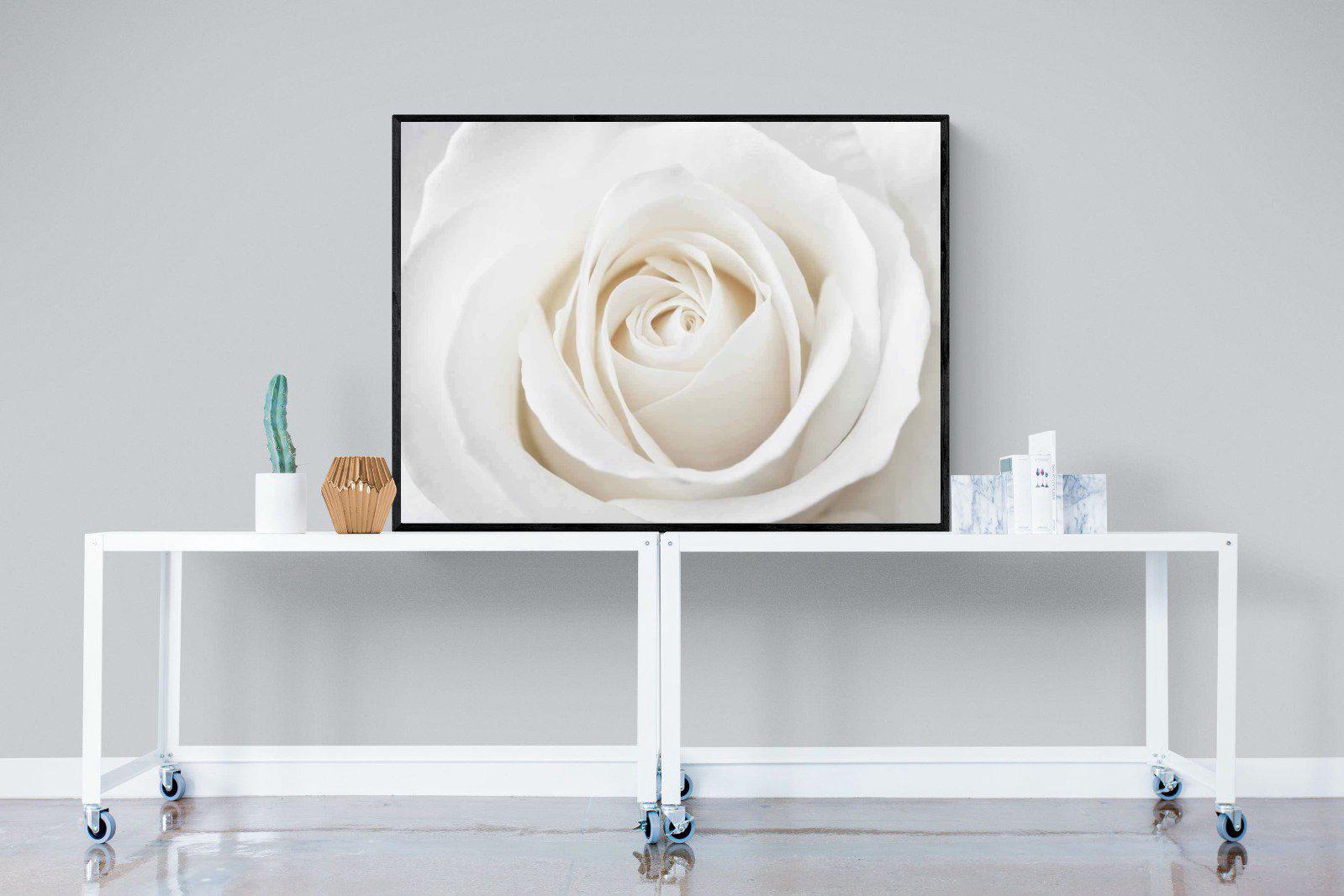 White Rose-Wall_Art-120 x 90cm-Mounted Canvas-Black-Pixalot