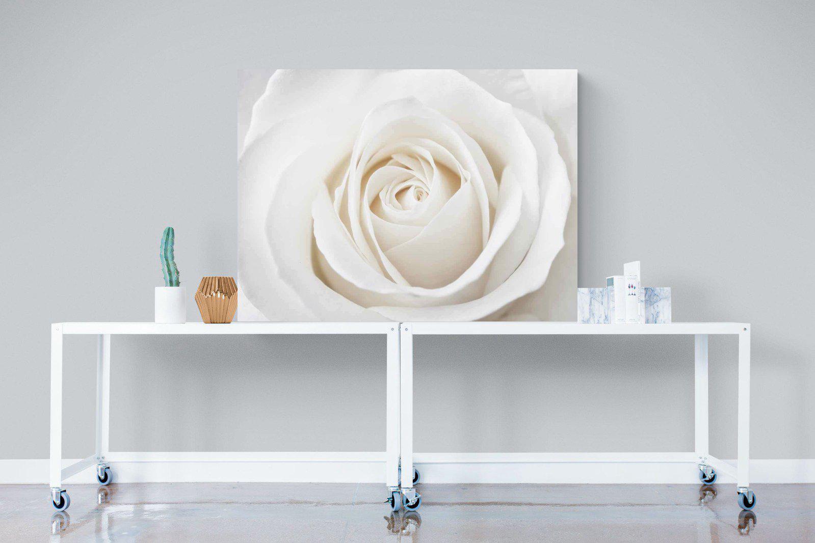 White Rose-Wall_Art-120 x 90cm-Mounted Canvas-No Frame-Pixalot