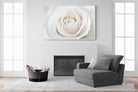 White Rose-Wall_Art-150 x 100cm-Mounted Canvas-White-Pixalot