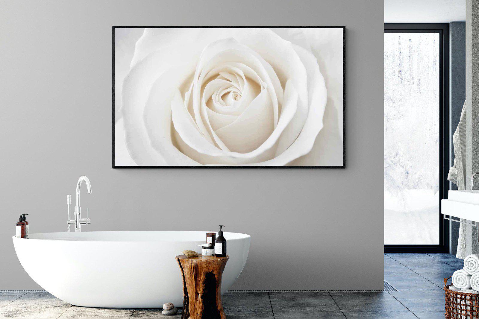 White Rose-Wall_Art-180 x 110cm-Mounted Canvas-Black-Pixalot