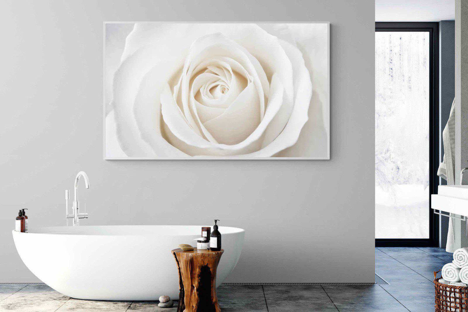 White Rose-Wall_Art-180 x 110cm-Mounted Canvas-White-Pixalot