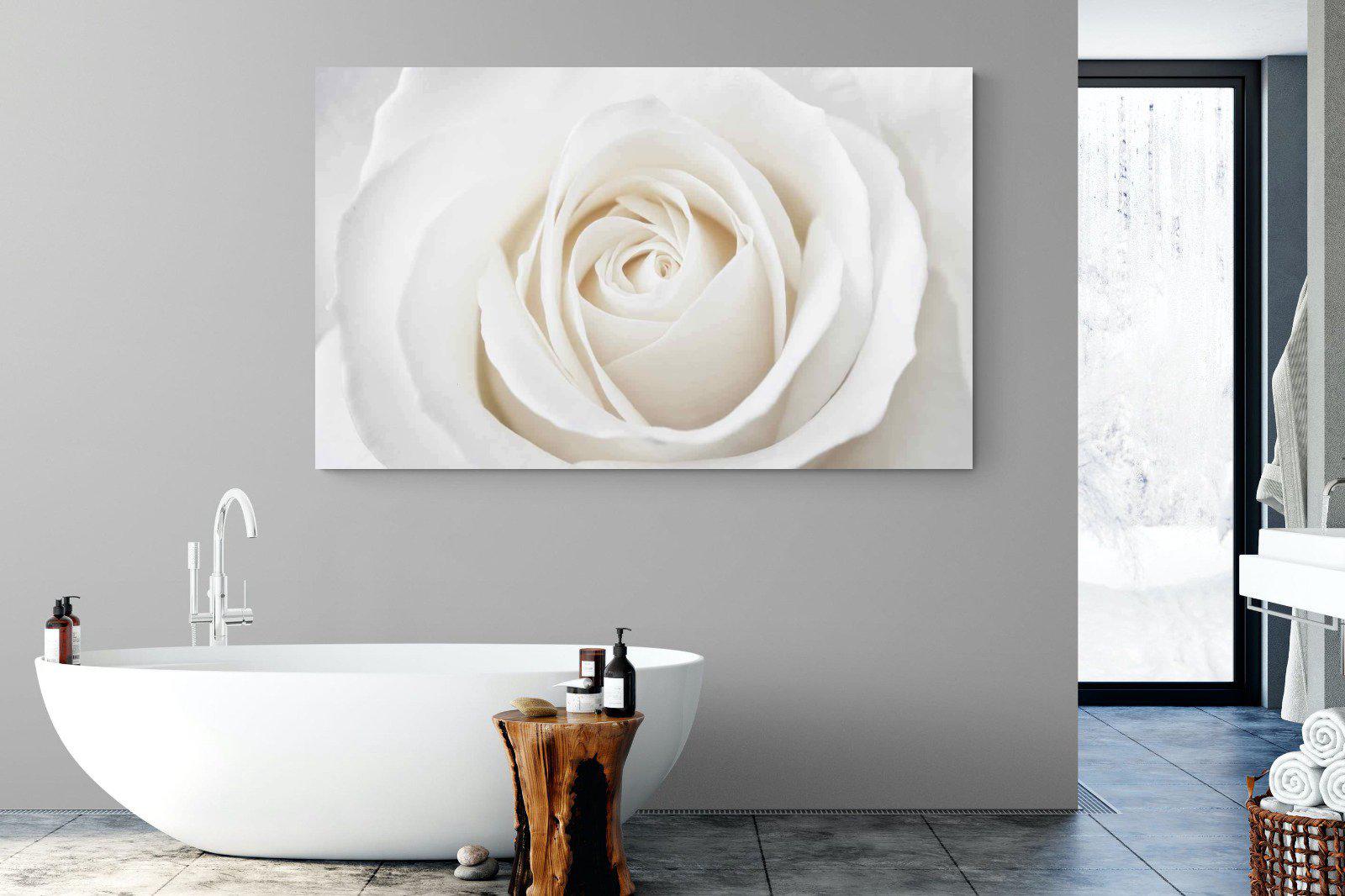 White Rose-Wall_Art-180 x 110cm-Mounted Canvas-No Frame-Pixalot