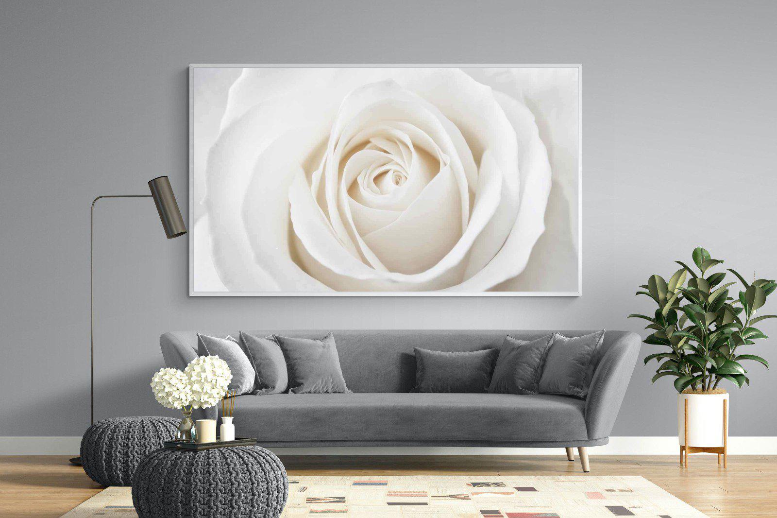 White Rose-Wall_Art-220 x 130cm-Mounted Canvas-White-Pixalot