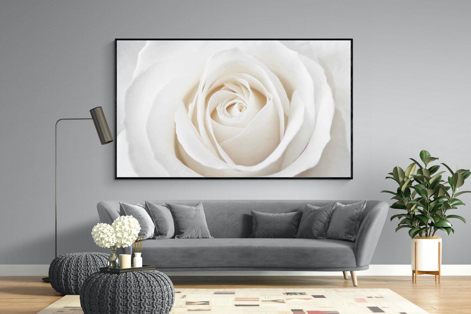 White Rose-Wall_Art-220 x 130cm-Mounted Canvas-Black-Pixalot